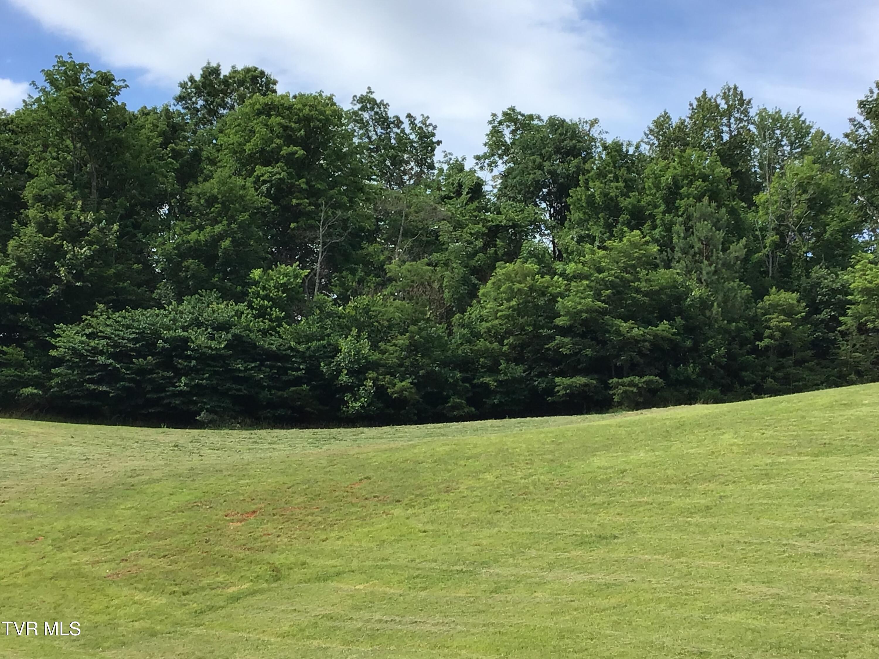 Image 2: 4.7+ Acres