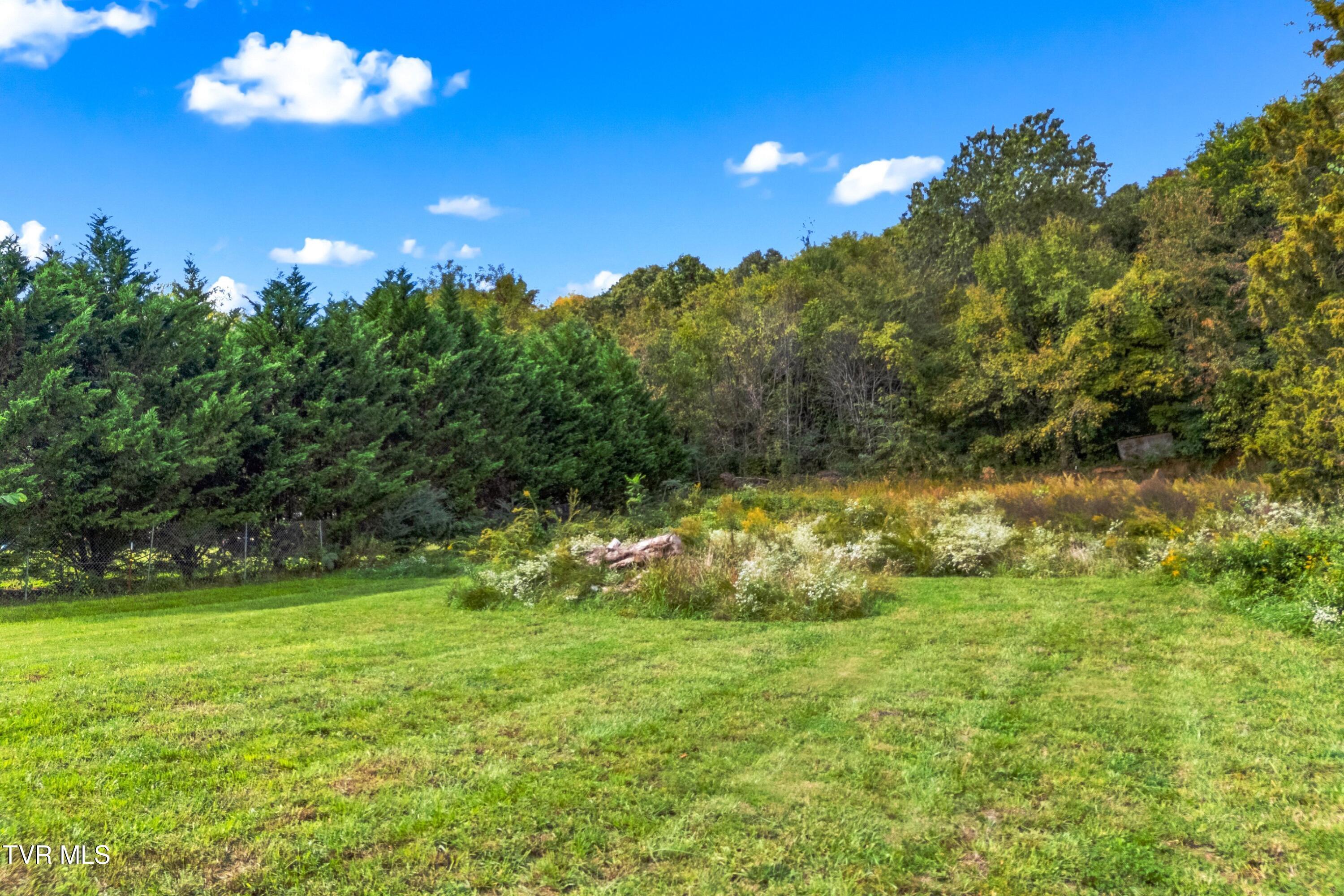 Image 2: 004-LivingstonLane-TN-37809-SMALL
