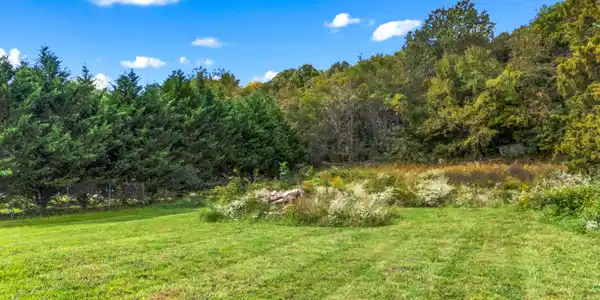 Image 2: 004-LivingstonLane-TN-37809-SMALL
