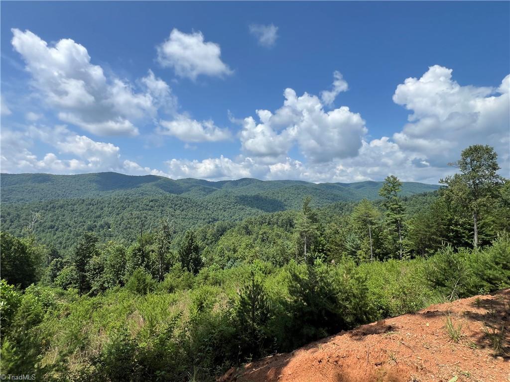 Image 2: Long Range View from the level building site at top of property