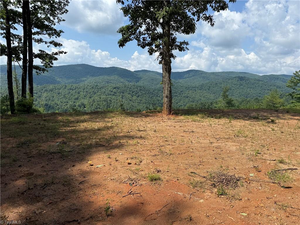 Image 3: Level building site at top of property