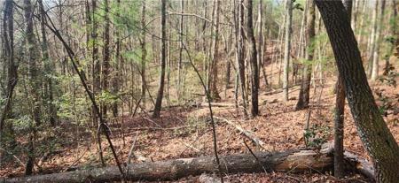 TBD Cane Creek Church Road