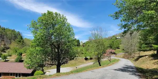 Image 3: Driving Through Community