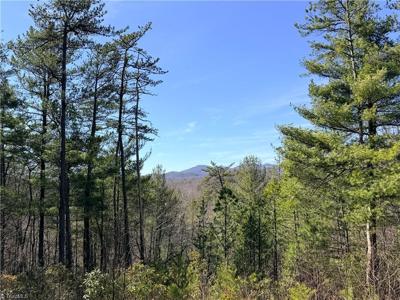TBD (Lot 18) Hidden Creek Road
