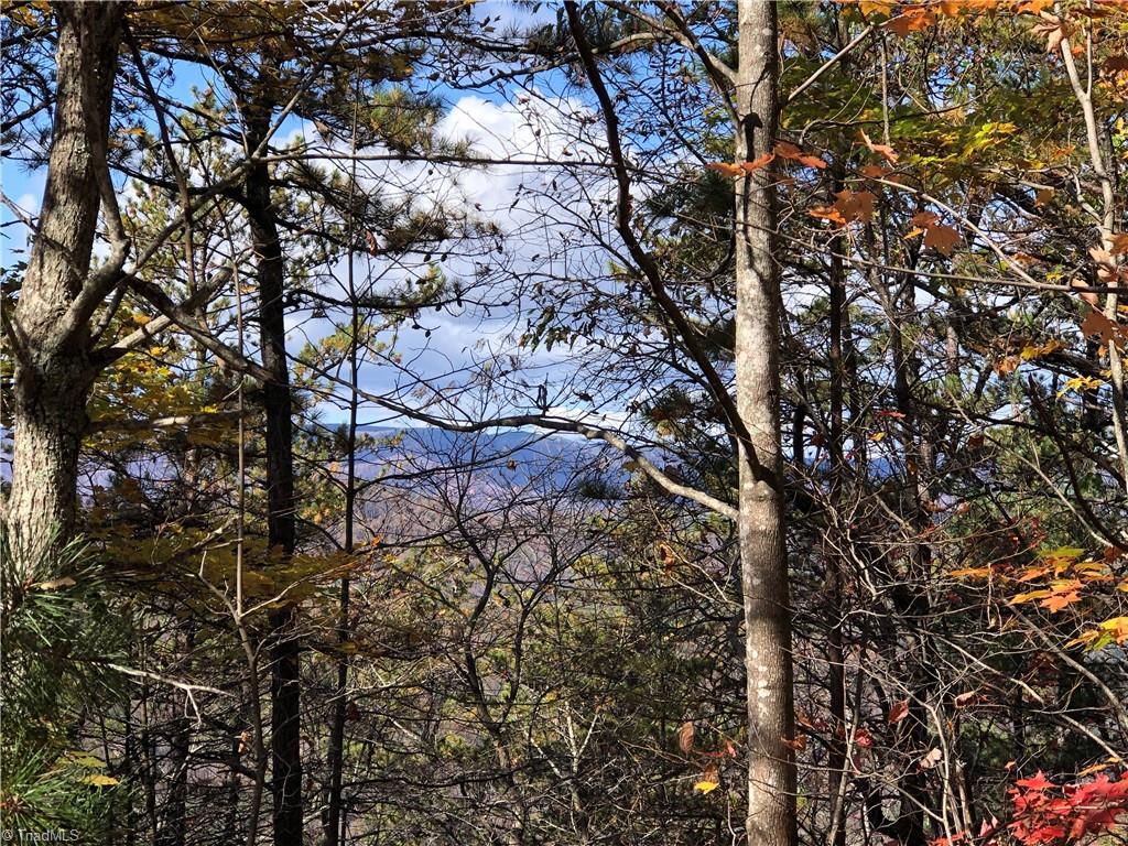 Image 2: View from Lot 96