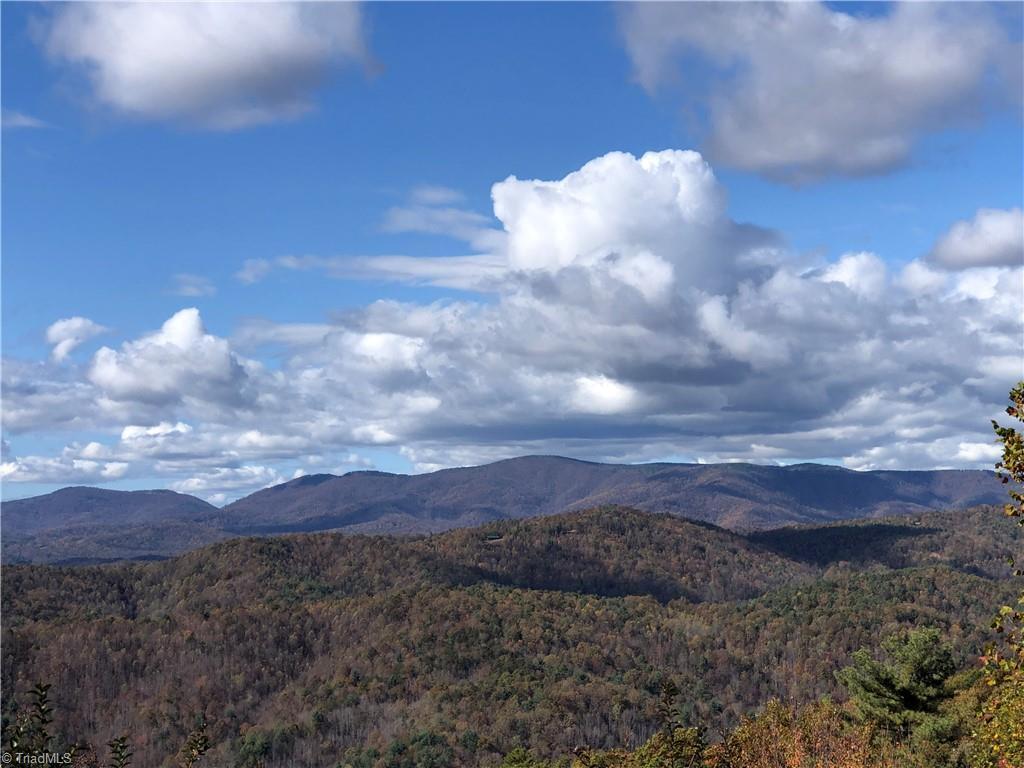 Image 3: Potential View from Neighboring Property