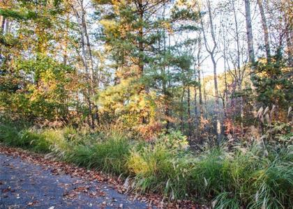 TBD Lot 17 Chestnut Falls Drive
