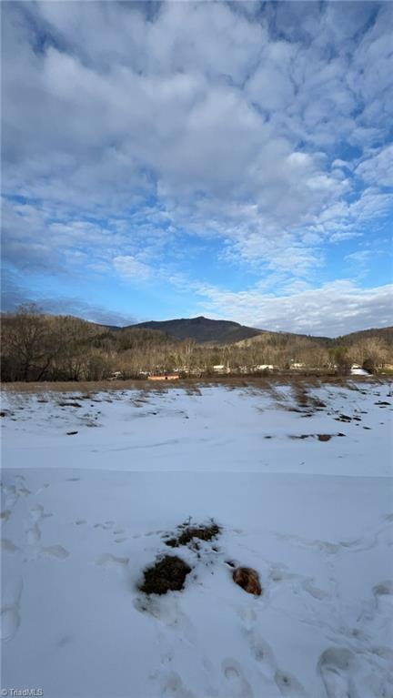 Image 2: view from lower part of mountain near the creek