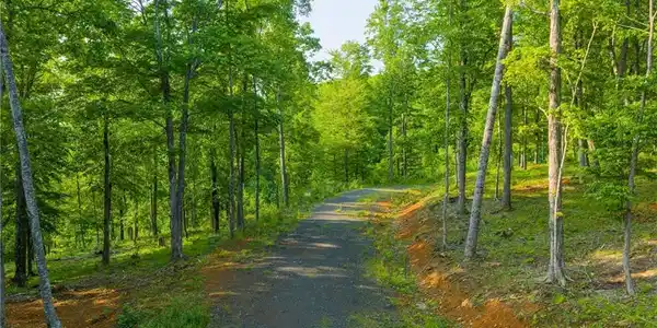 7 Autumn Lane