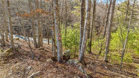 TBD River Stone Drive