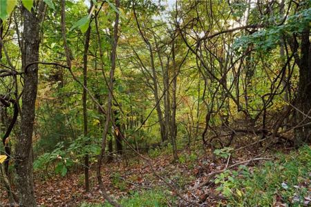 Lot 16 Little Ivy Lane
