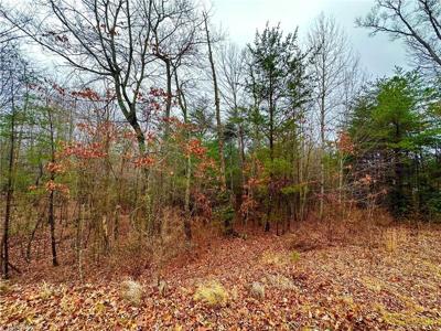 LOT 45 Ridge Run Road