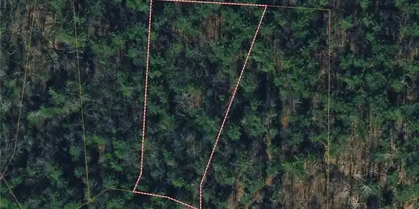 Image 3: Aerial View