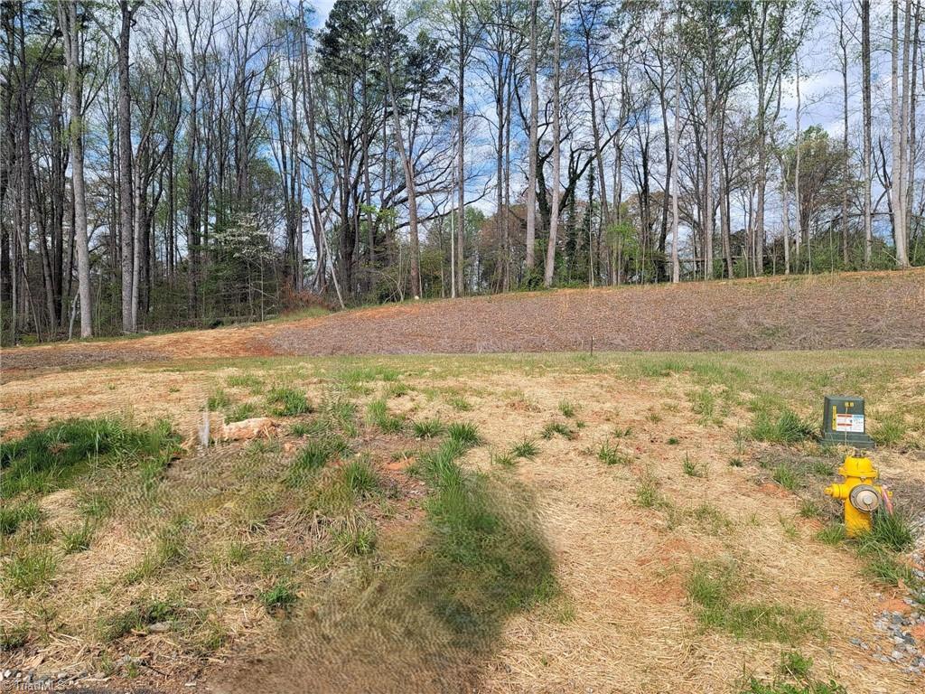 Image 3: Cleared lot, ready for construction. See Completion Date.