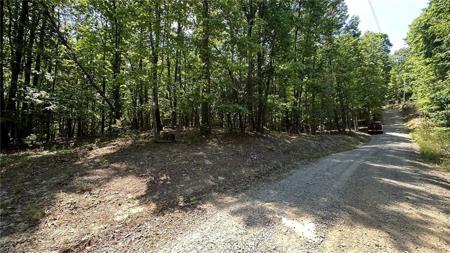 000 Idlewild Drive