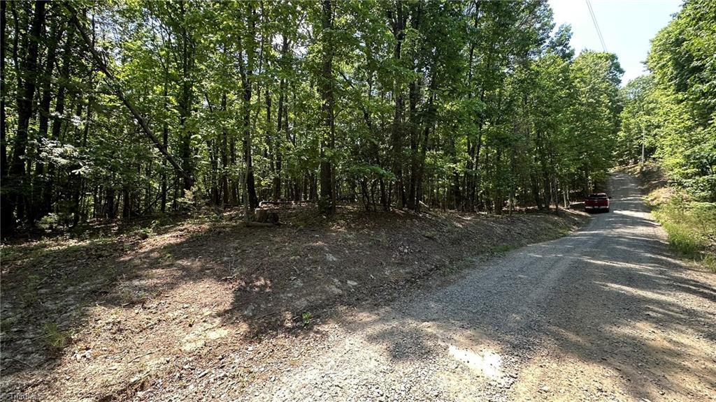 Image 1: Idlewild Dr