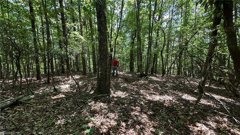Image 4: Potential homesite