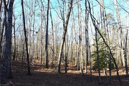 1010-1372 Hanging Rock Park Road