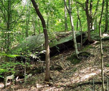00 Grassy Knob Road