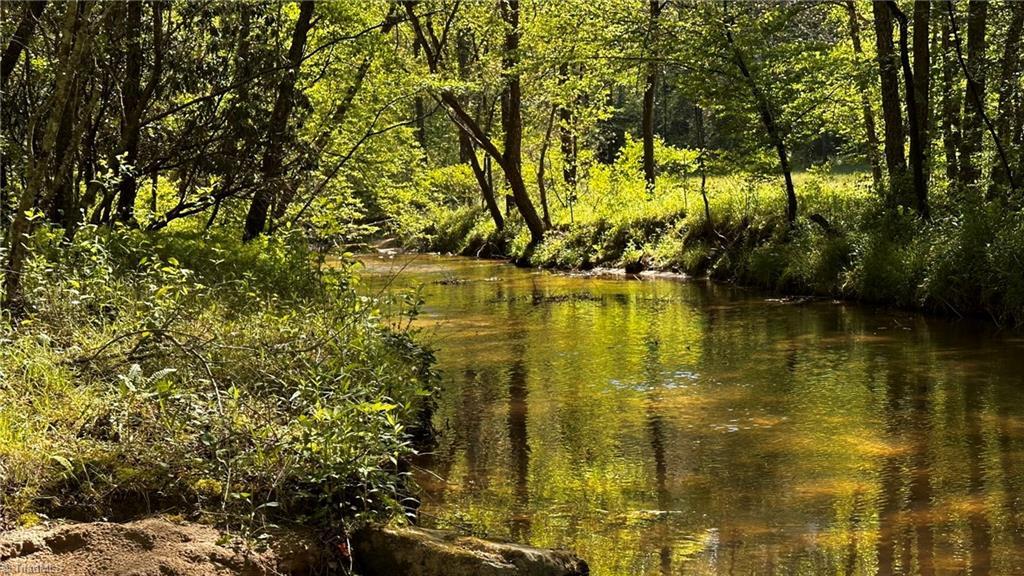 Image 4: Little Warrior Creek