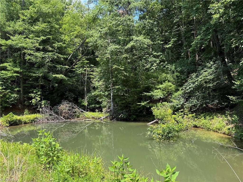 Image 2: Spring-Fed Pond on property