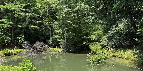 Image 2: Spring-Fed Pond on property