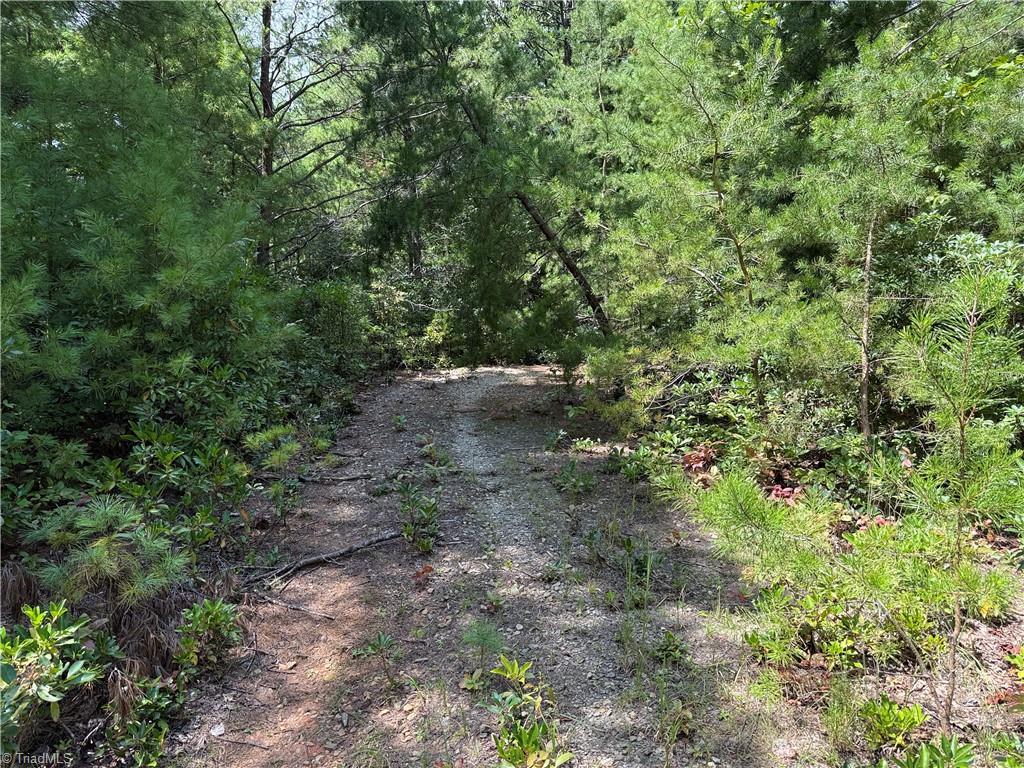 Image 3: Driveway in place on Lot 163