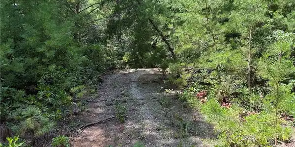 Image 3: Driveway in place on Lot 163