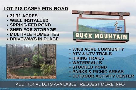 Lot 218 Casey Mountain Road
