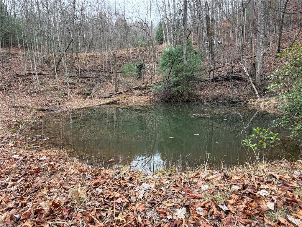 Image 2: Spring-Fed Pond on Lot 218