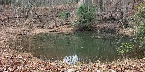Image 2: Spring-Fed Pond on Lot 218