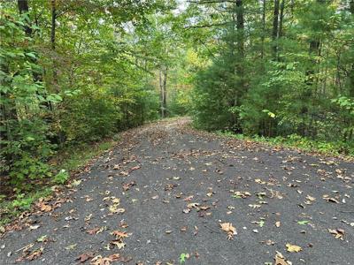 0000 Timber Ridge Road