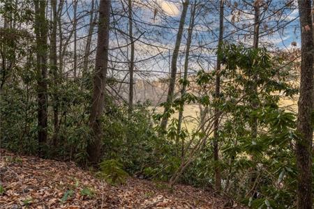 TBD Parsonsville Road