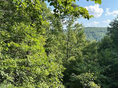 Lot 36E Cascade Run