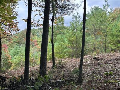 Lot 26E Cascade Run