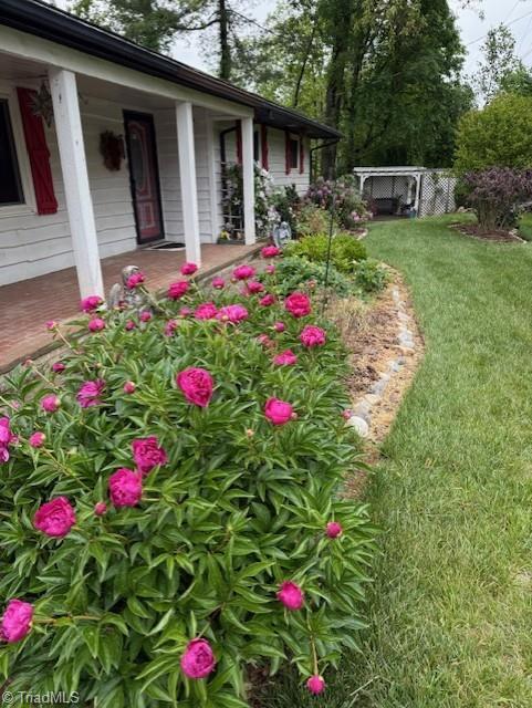 Image 2: front flowers