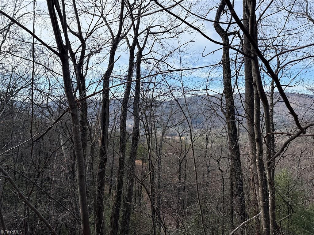 Image 2: View from Lots 207 & 220