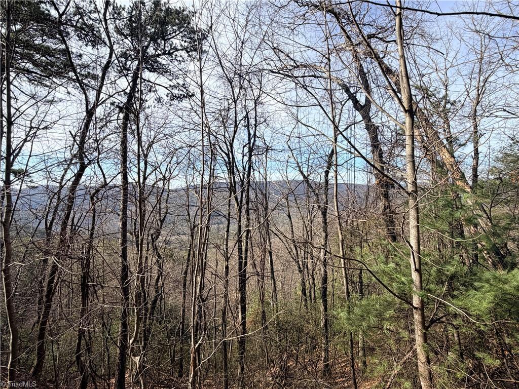 Image 4: View from Lots 207 & 220