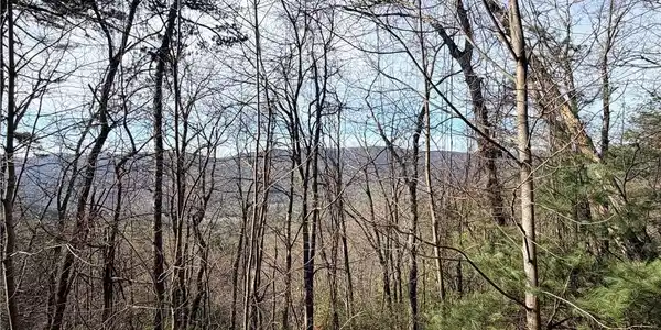 Image 4: View from Lots 207 & 220