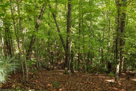 Lot 158 Carriage House Trail