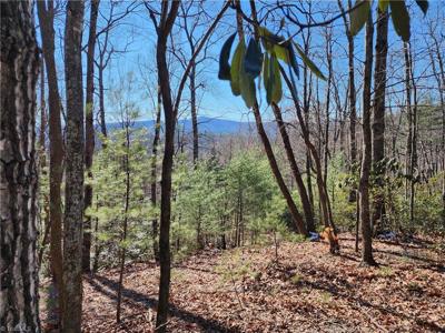 000 Mountain Vista Drive