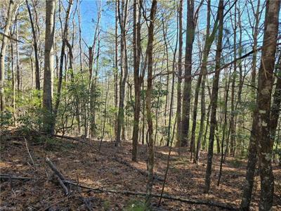 TBD Timber Ridge Road