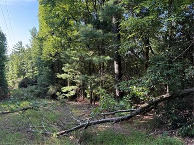 00 Timber Ridge Road