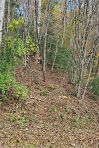 0 Moravian Creek Drive