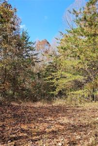 Off Germantown Road