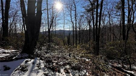 TBD Mountain Vista Drive