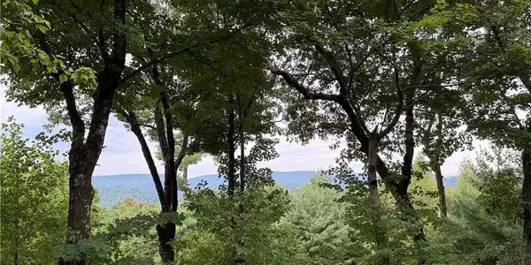 Image 3: View from Back Porch