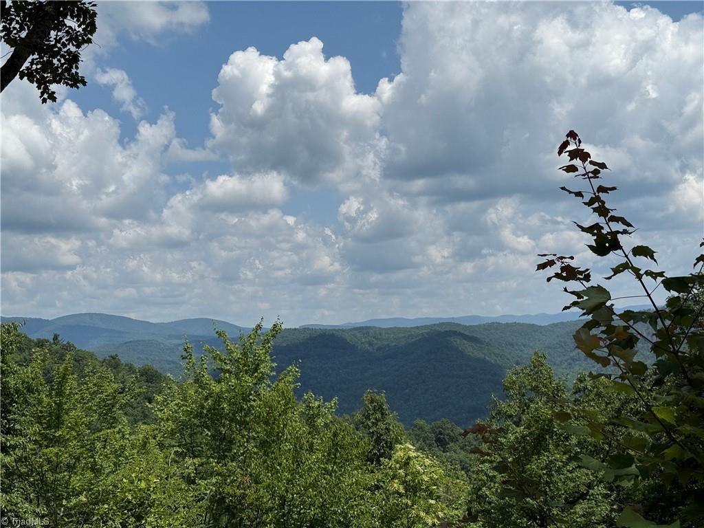 Image 1: View from 337 Lucas Path Drive