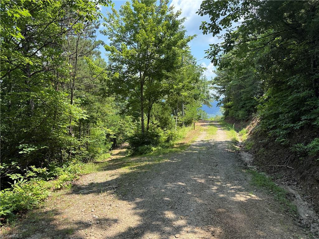 Image 4: Driveway to building site