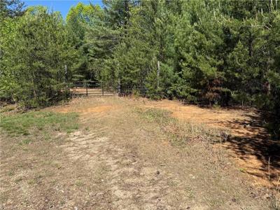 Lots 160 & 161 Staghorn Road